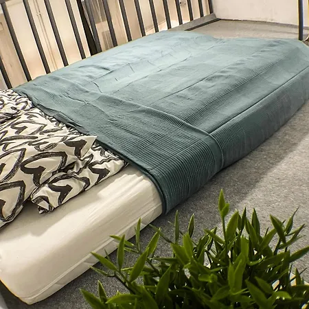 Nefelejcs דירה *